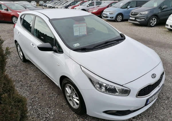 Kia Ceed cena 26900 przebieg: 207432, rok produkcji 2014 z Darłowo małe 326